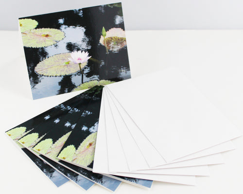 Water Lily Notecards - Set of Five