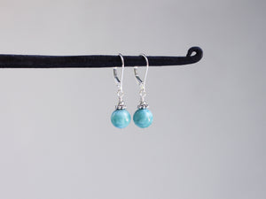 Larimar and Silver Earrings