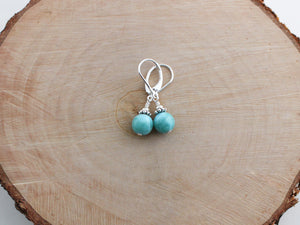 Larimar and Silver Earrings