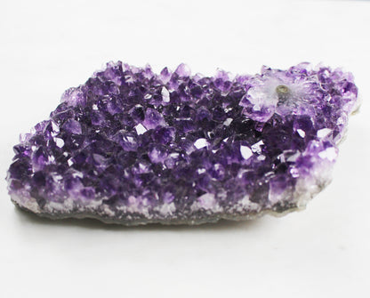 Amethyst Crystal Cluster with Stalactite