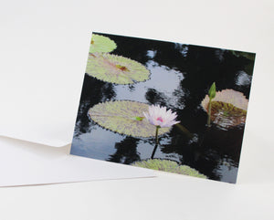 Water Lily Notecard - Single