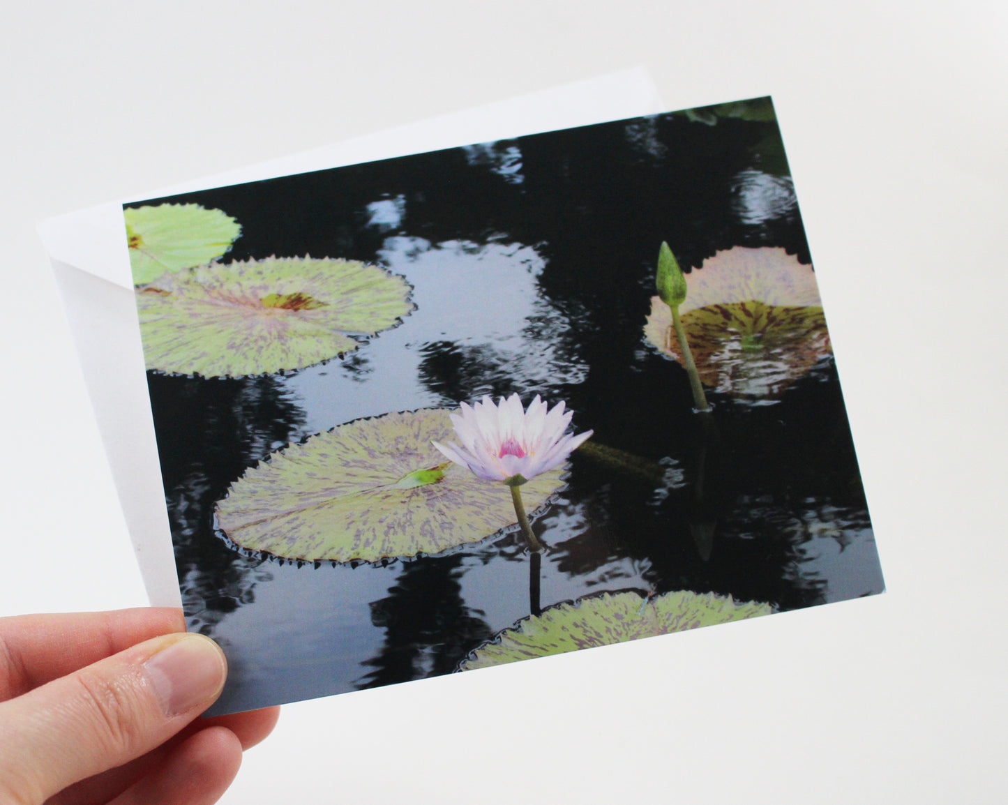 Water Lily Notecard - Single