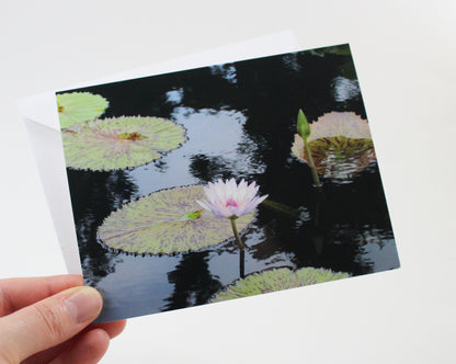 Water Lily Notecards - Set of Five