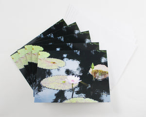 Water Lily Notecards - Set of Five