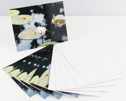 Water Lily Notecards - Set of Five